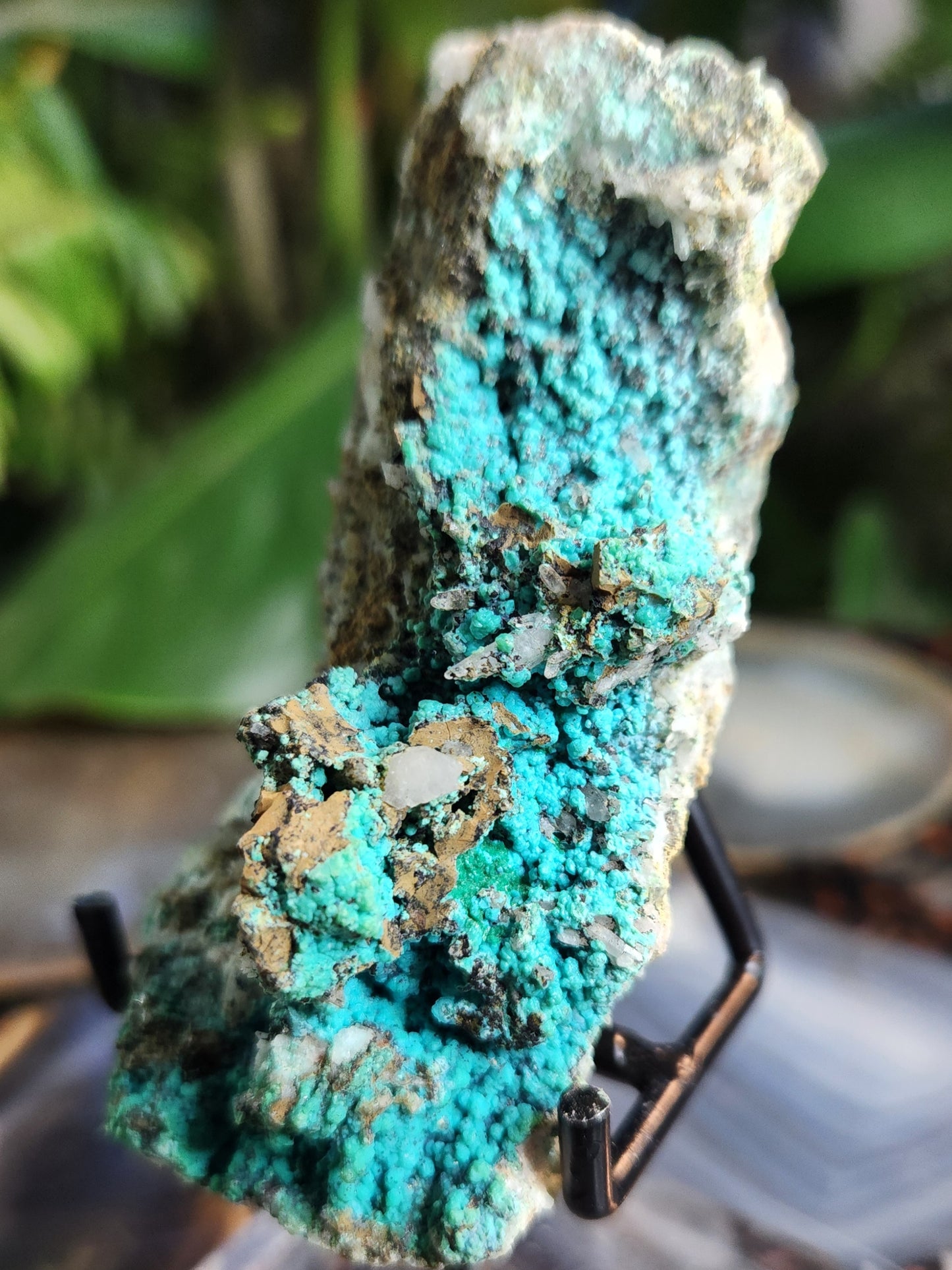 Aurichalcite on Matrix with Quartz – Vibrant Blue-Green Copper Zinc Carbonate Crystal
