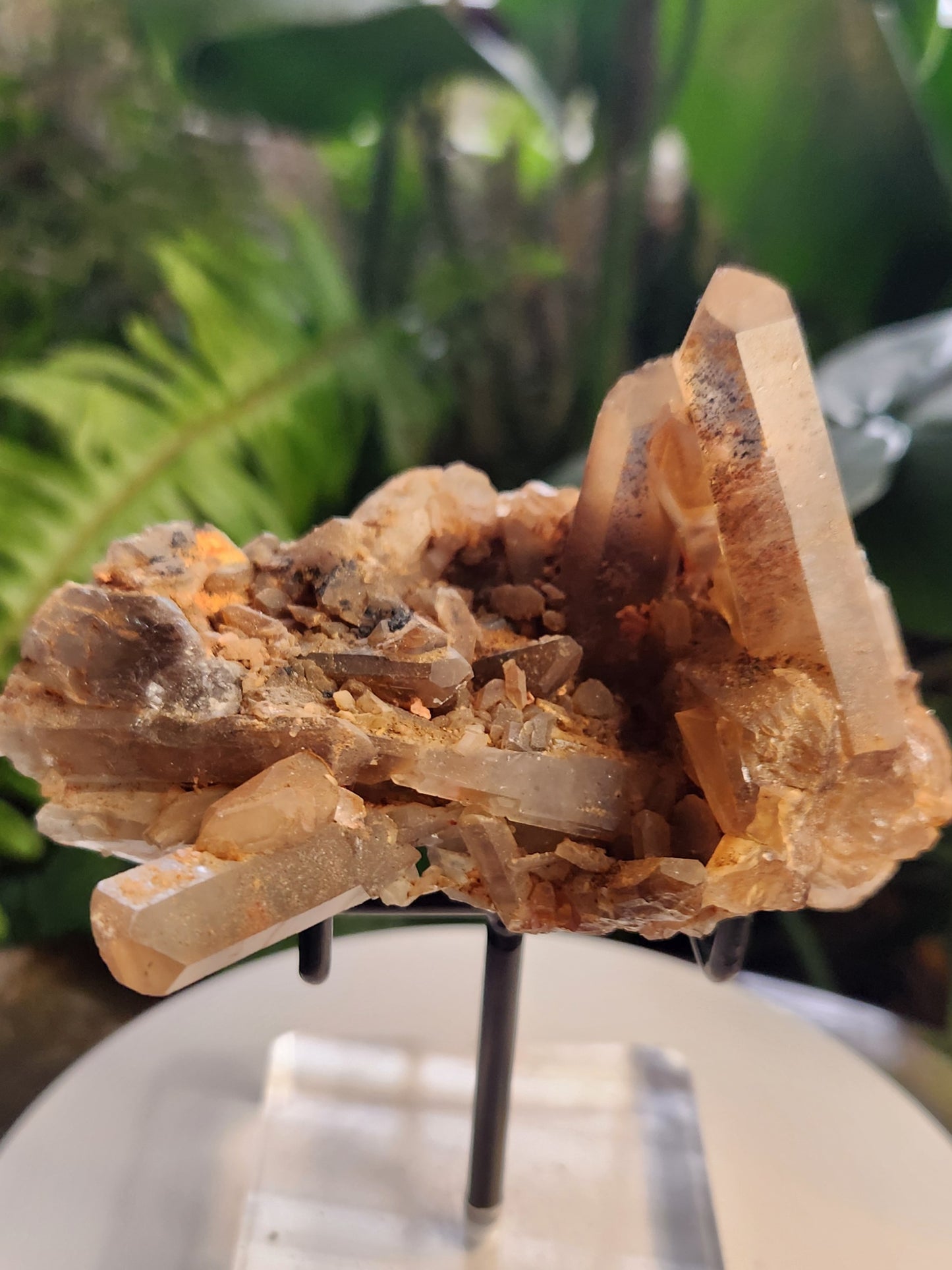 Natural Hematoid Smoky Quartz Crystal Cluster – Smoky Quartz with Hematite Inclusions