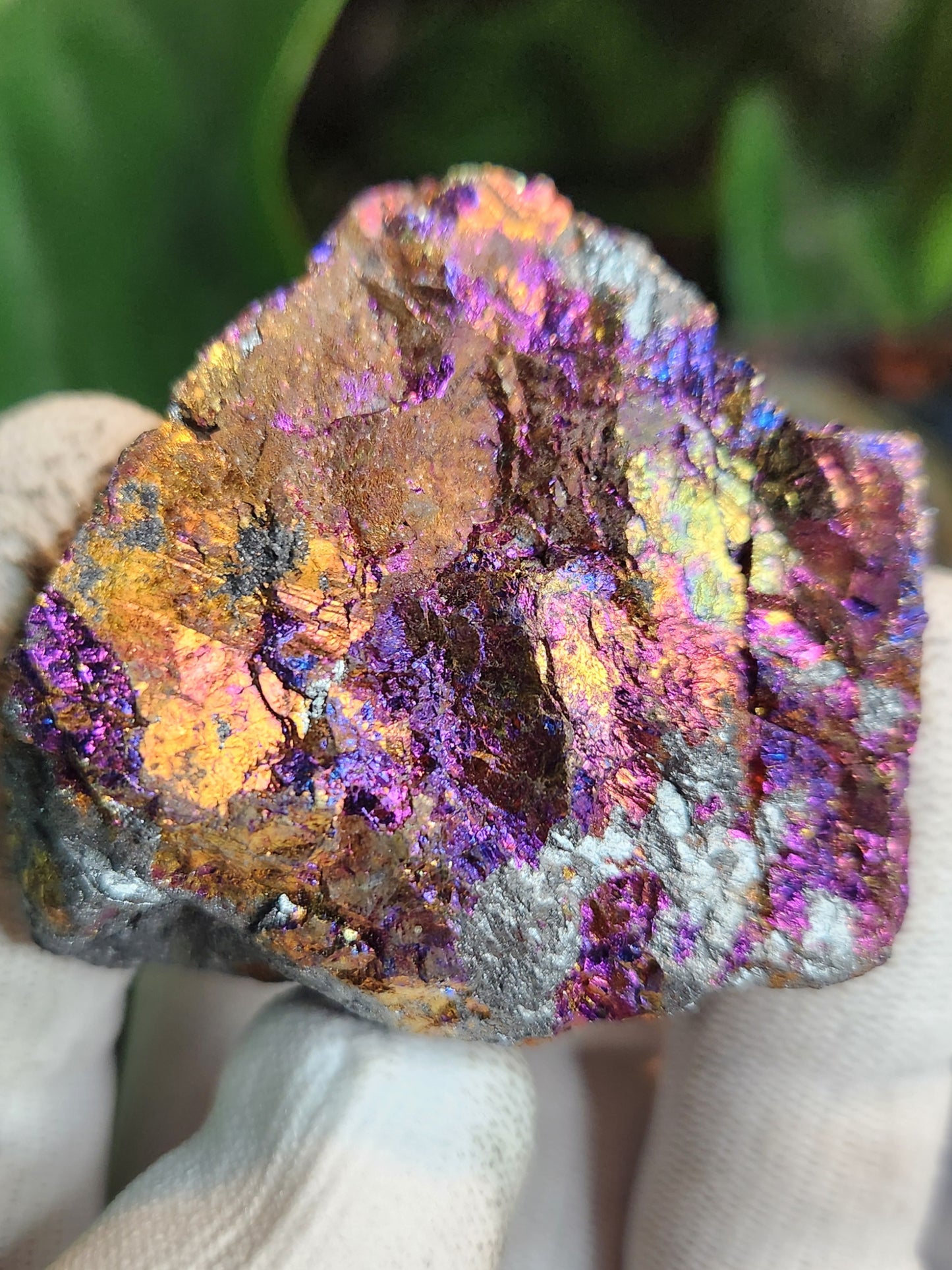 Natural Peacock Ore (Bornite & Chalcopyrite) Iridescent Crystal | Vibrant Rainbow Mineral Specimen