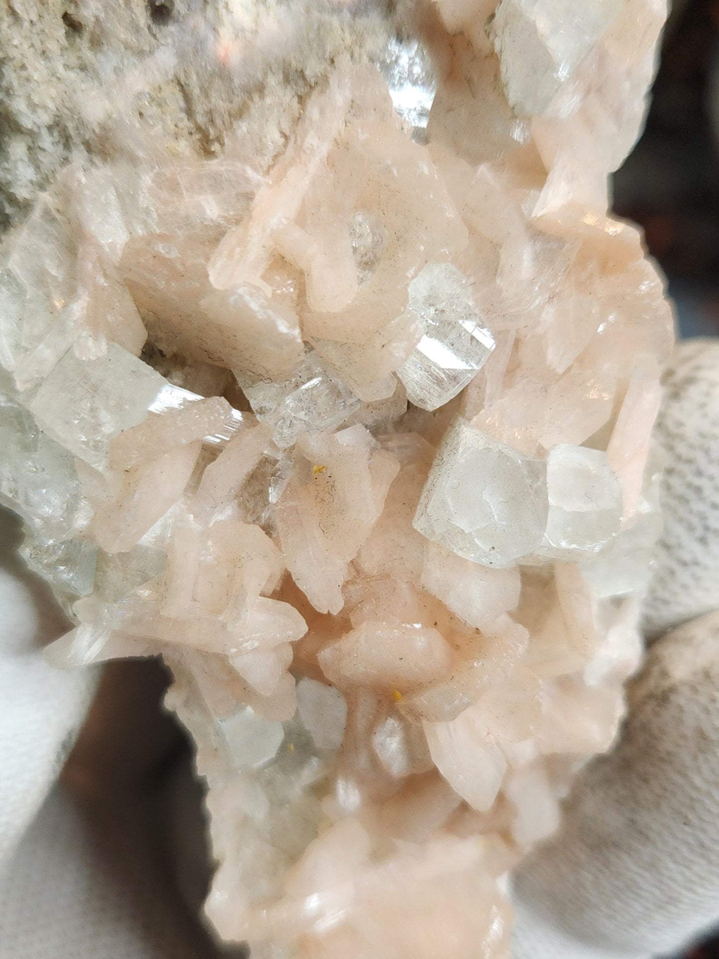 Gorgeous Peach Stilbite with Apophyllite on Matrix | Natural Zeolite Crystal Cluster | India