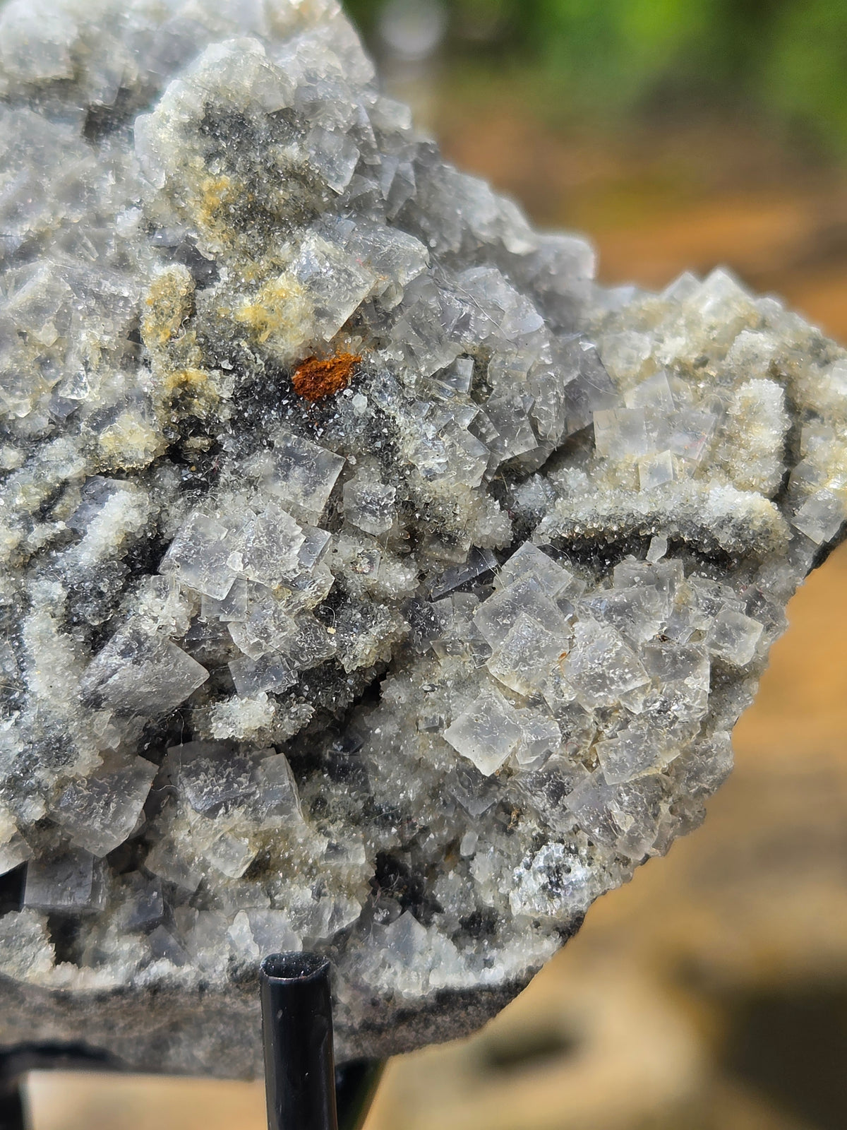 Natural Fluorite Crystal Cluster on Matrix | Raw Fluorite Mineral Specimen