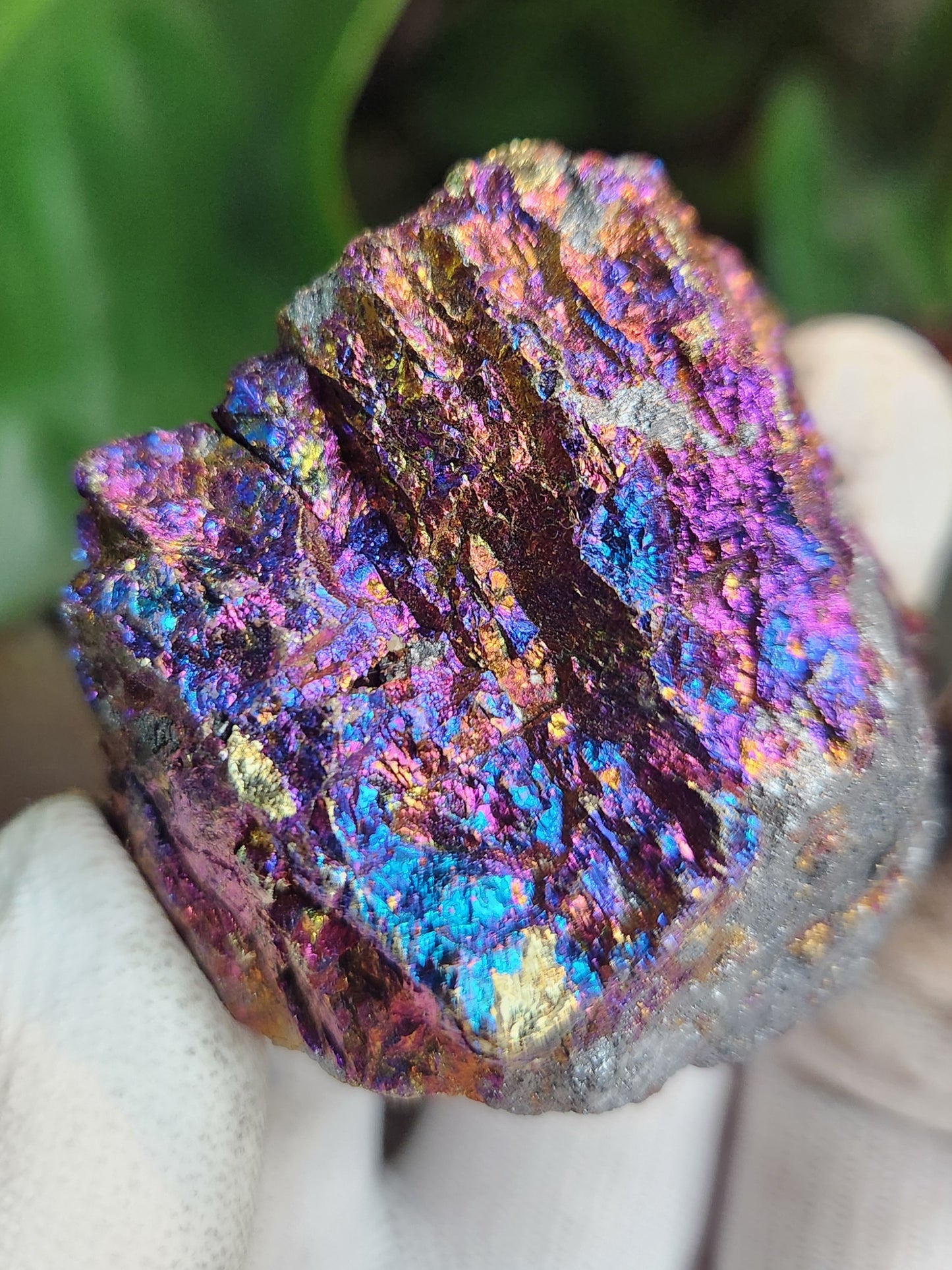 Natural Peacock Ore (Bornite & Chalcopyrite) Iridescent Crystal | Vibrant Rainbow Mineral Specimen