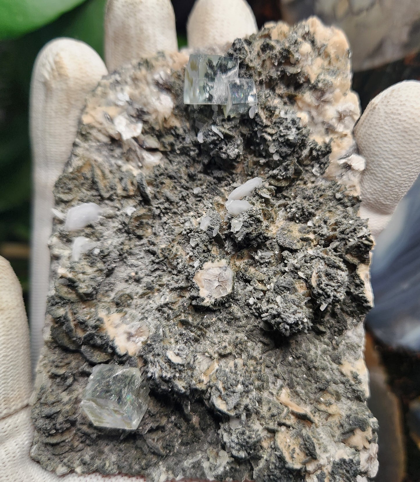 Natural Cubic Fluorite on Matrix – Sharp Green Fluorite Crystals with Textured Host Rock | Collector-Grade Mineral Specimen