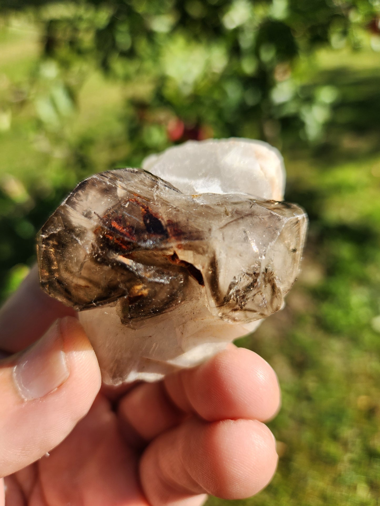 Alligator / Elestial Quartz Crystal - Spiritual Connection & Higher Realms
