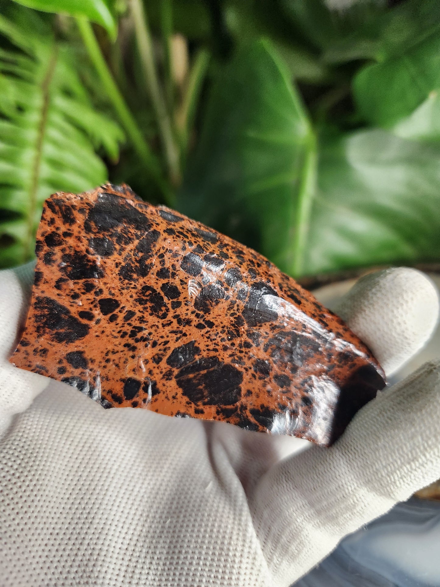 Raw Mahogany Obsidian Slab – Red & Black Volcanic Crystal with Natural Patterning | Protection • Grounding • Strength