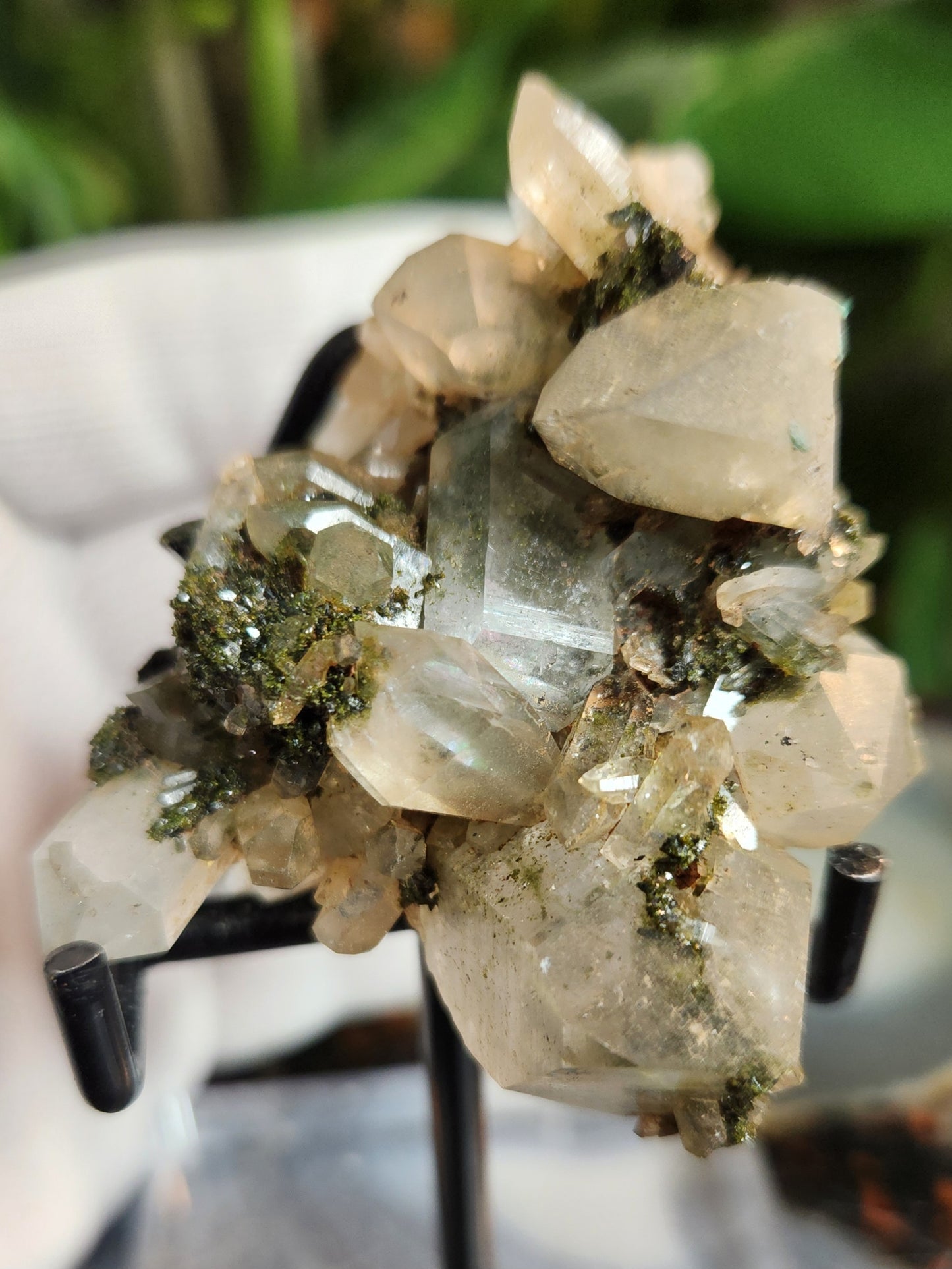 Forest Epidote with Druzy Quartz – Sparkling Green Growth Crystal | Collector Mineral | Grounding & Abundance Stone