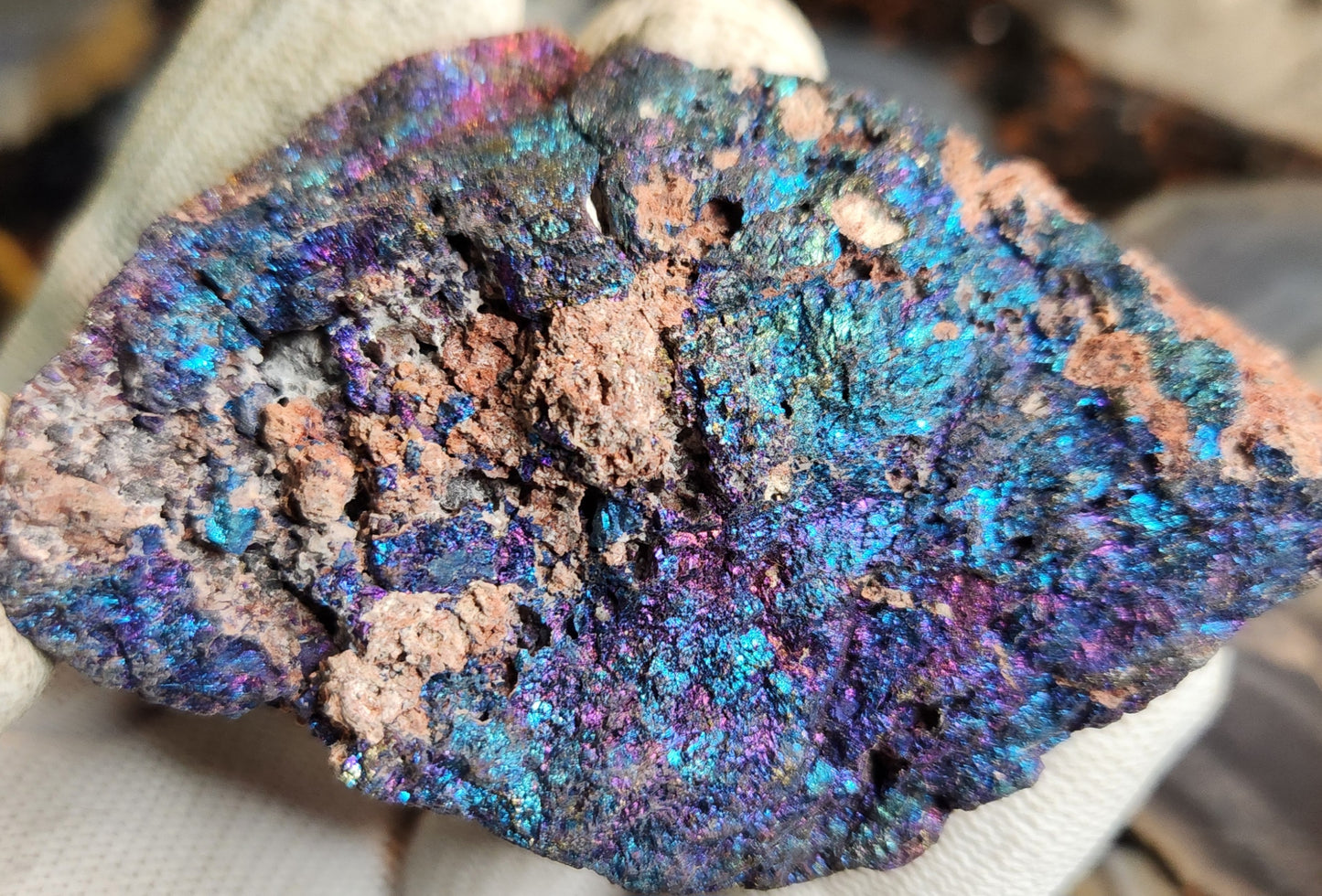 Natural Peacock Ore (Bornite & Chalcopyrite) Iridescent Crystal | Vibrant Rainbow Mineral Specimen