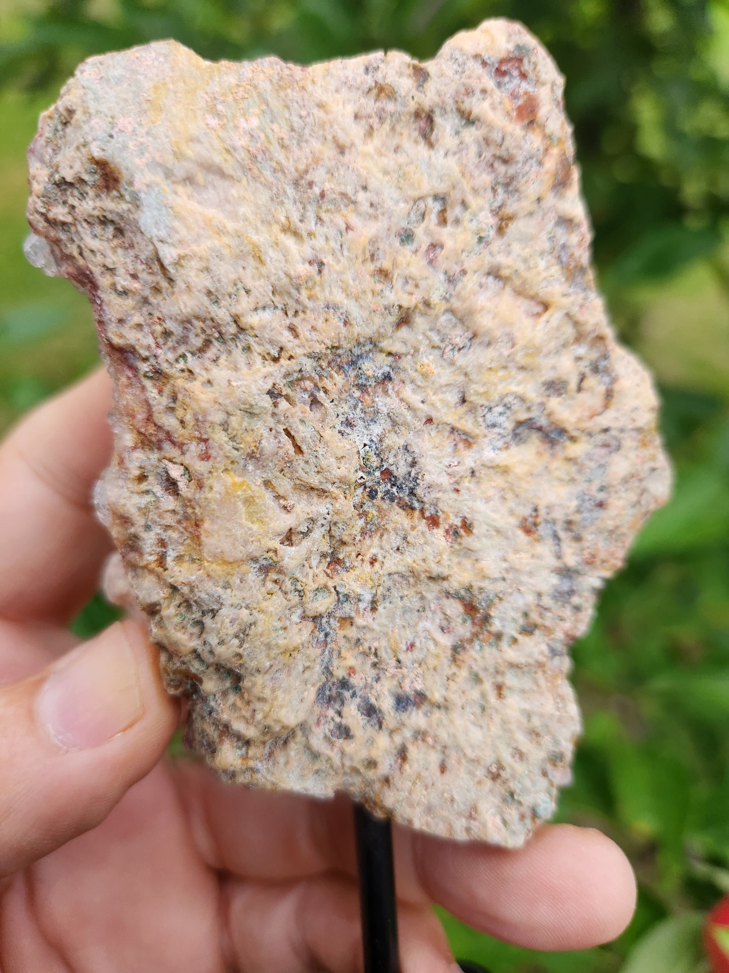 Pink Amethyst Crystal Geode on Stand - Gentle, Heart-Centered Energy - Emotional Healing and Spiritual Growth.