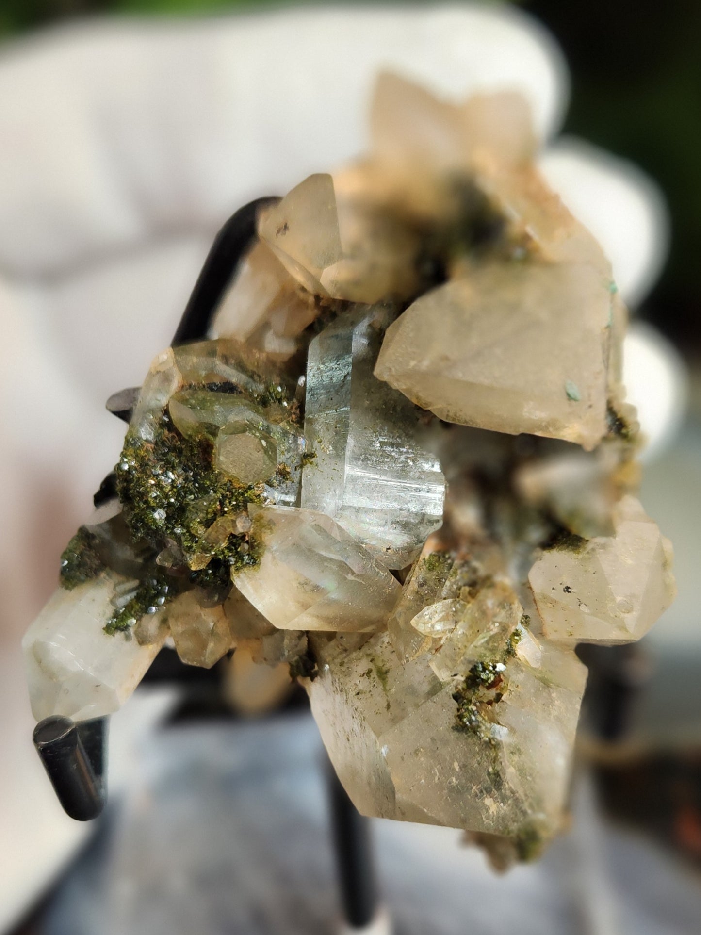 Forest Epidote with Druzy Quartz – Sparkling Green Growth Crystal | Collector Mineral | Grounding & Abundance Stone