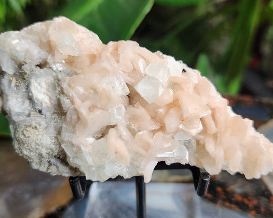Gorgeous Peach Stilbite with Apophyllite on Matrix | Natural Zeolite Crystal Cluster | India