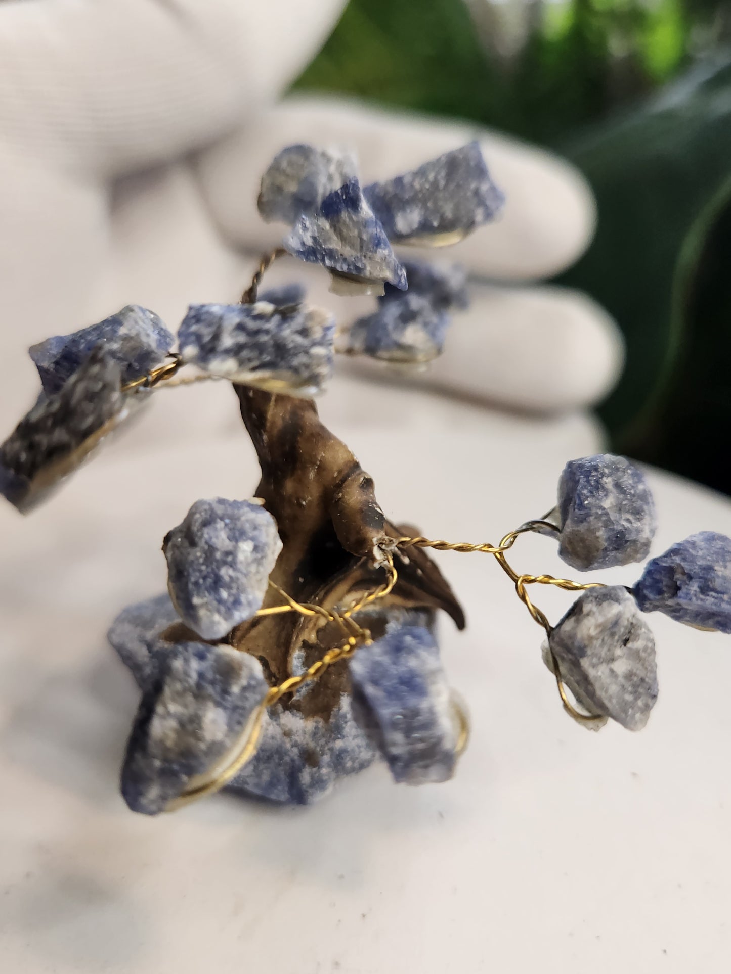 Handmade Sodalite Crystal Tree on Sodalite Base | Natural Blue Gemstone Tree | Clarity & Communication Crystal Decor