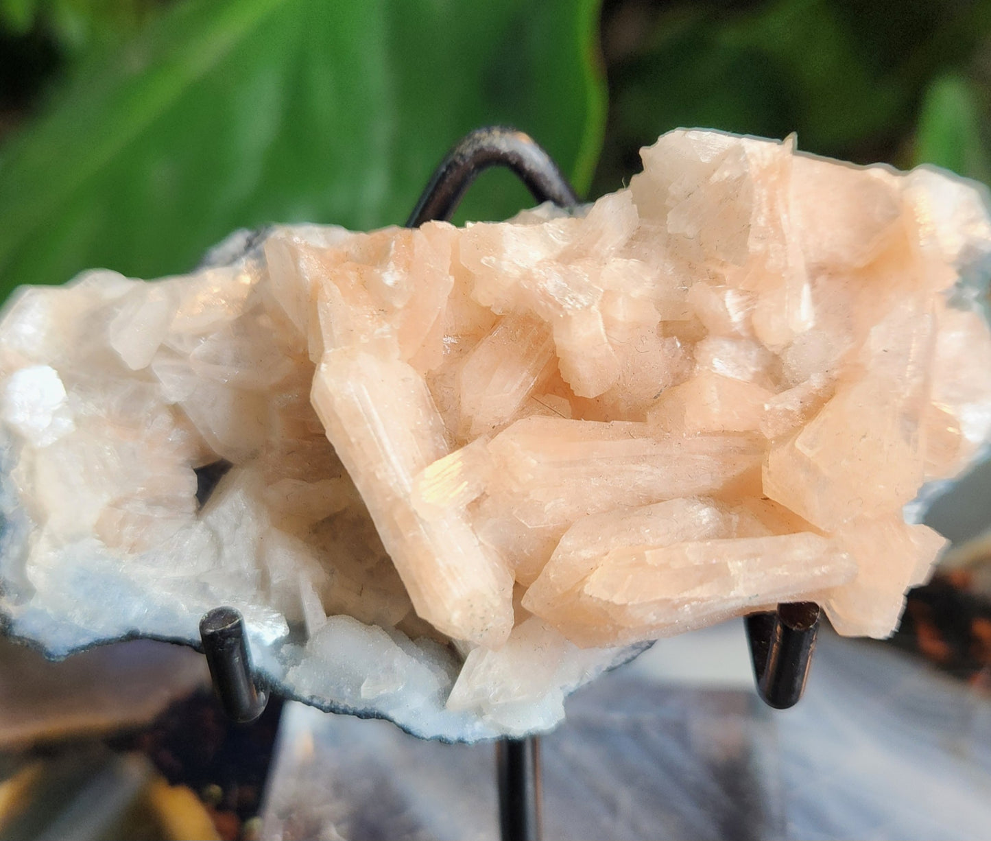 Gorgeous Peach Stilbite with Apophyllite on Matrix | Natural Zeolite Crystal Cluster | India