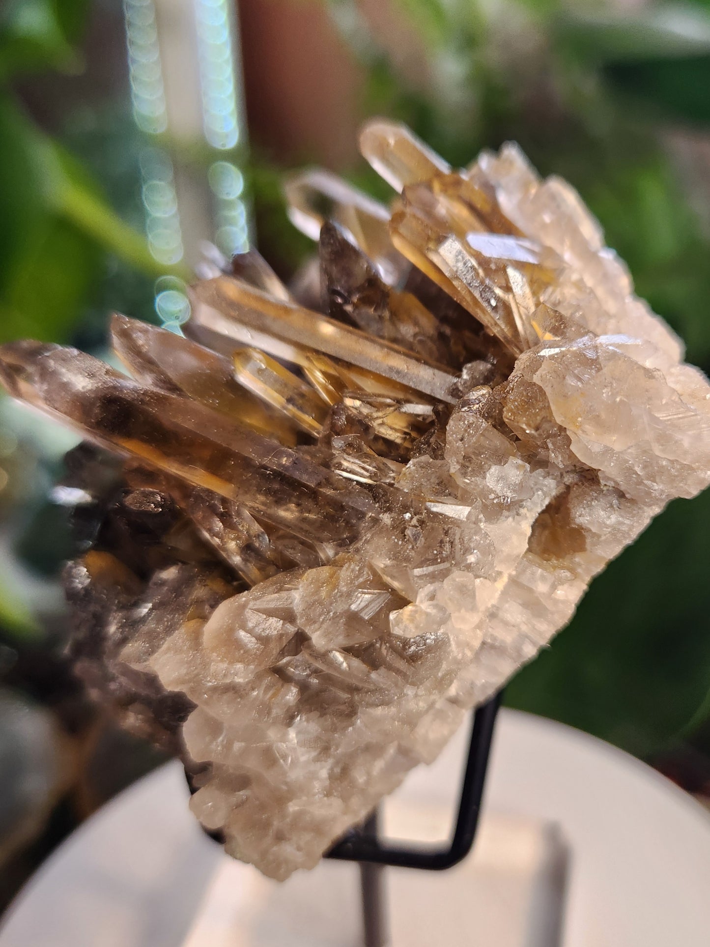 Natural Smoky / Smokey Quartz Crystal Cluster – Dark Smoky Quartz on Matrix - Brazil