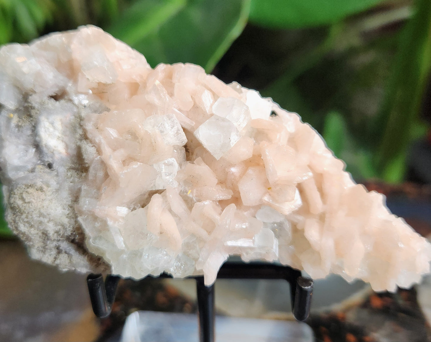 Gorgeous Peach Stilbite with Apophyllite on Matrix | Natural Zeolite Crystal Cluster | India
