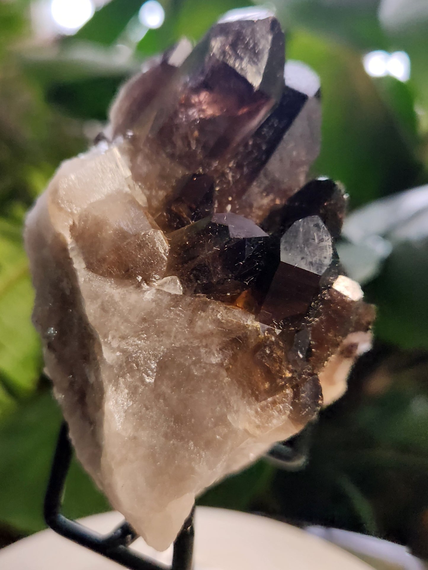 Natural Smoky / Smokey Quartz Crystal Cluster – Dark Smoky Quartz on Matrix - Brazil