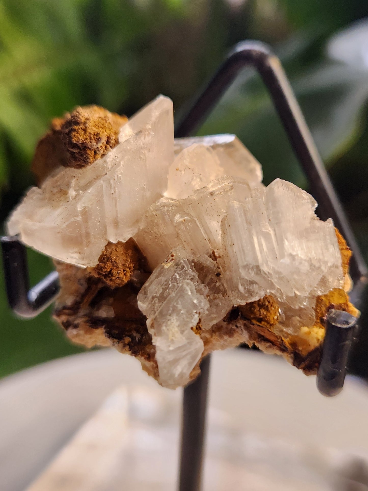 Blade Selenite Crystal Specimen — Natural Satin Spar Gypsum Cluster | Cleansing, Purification, High-Vibration Stone