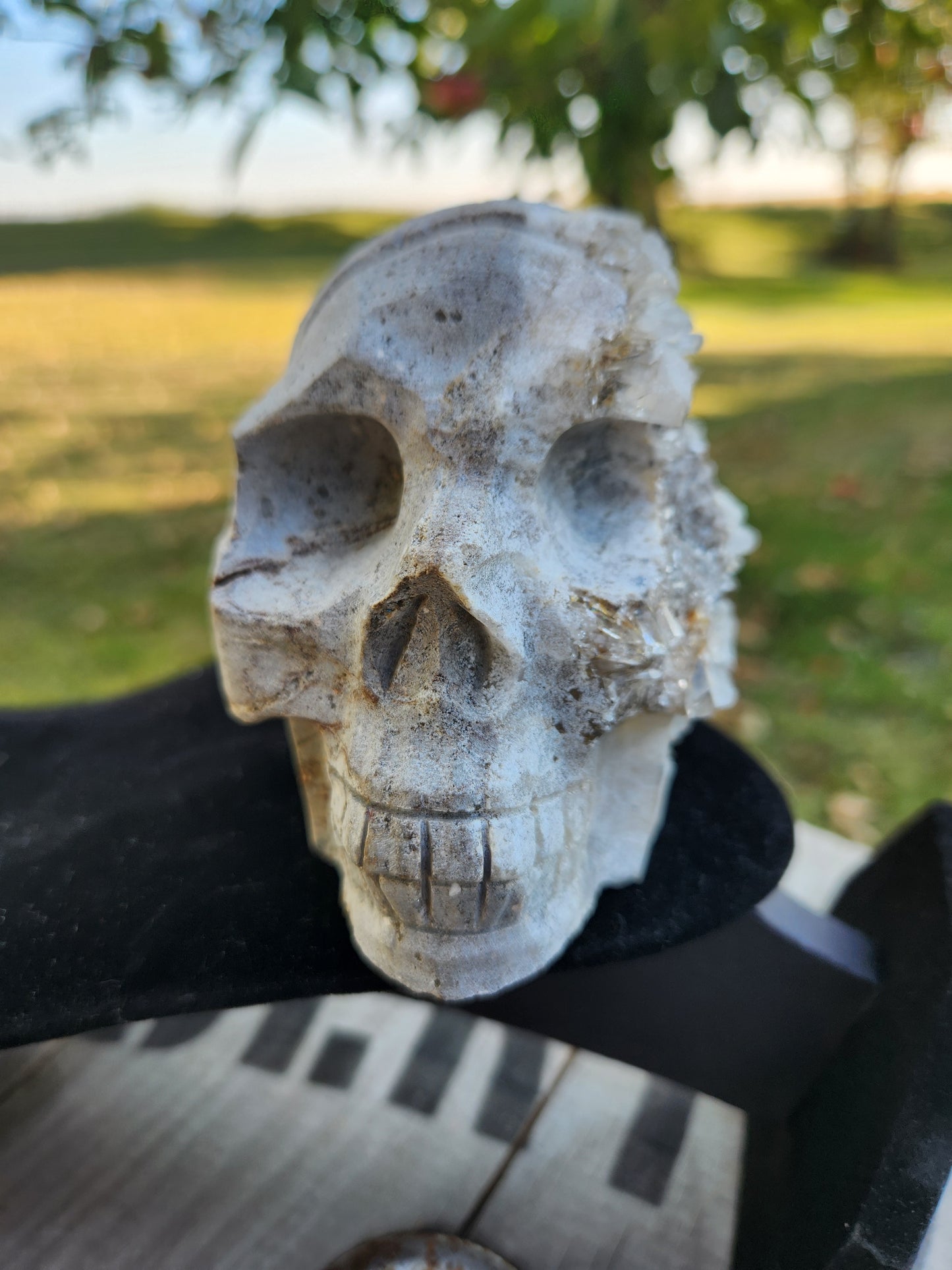 Large White & Brown Druzy Quartz Crystal Skull – Hand-Carved with Raw Crystal Cluster Back
