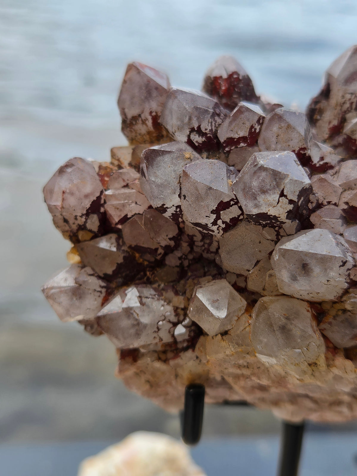 Black Pineapple Quartz with Hematite | Red Hematite Quartz Crystal Cluster