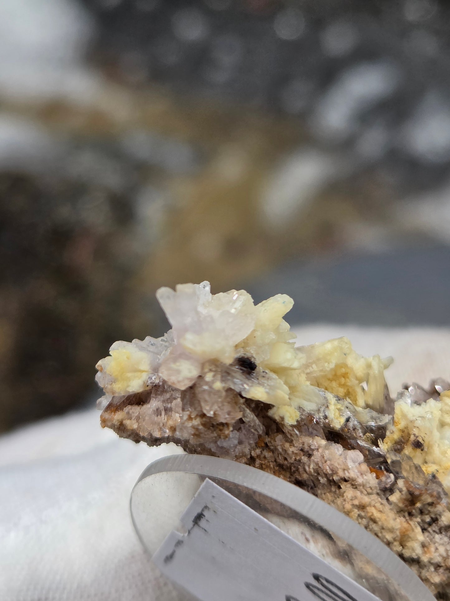Dogtooth Calcite & Quartz Crystal Cluster | Natural Calcite Crystals