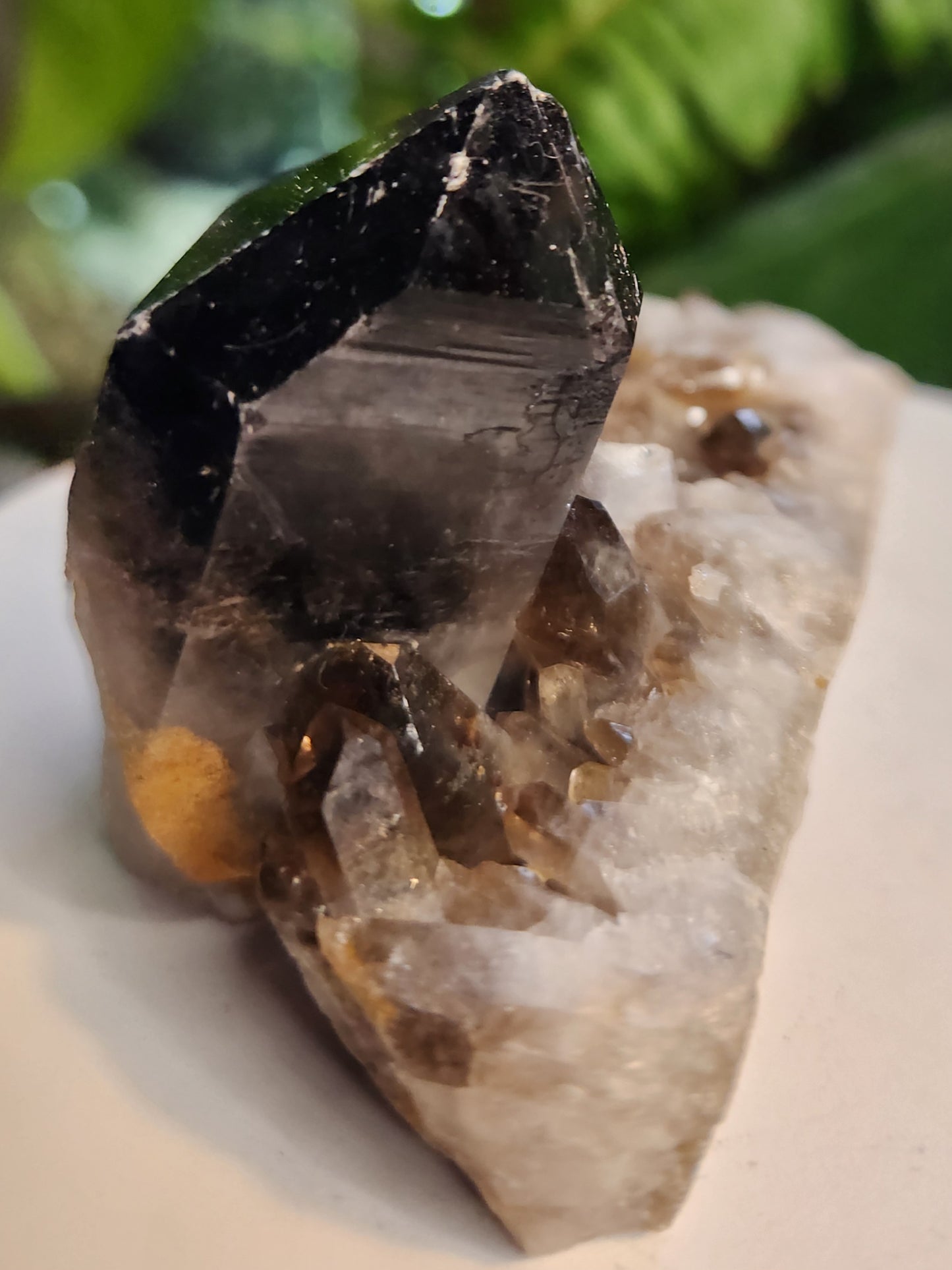 Natural Smoky / Smokey Quartz Crystal Cluster – Dark Smoky Quartz on Matrix - Brazil