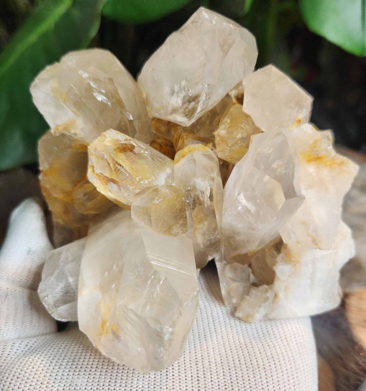 Stunning Hand-Carved Quartz Skull with Druzy & Natural Crystal Formations