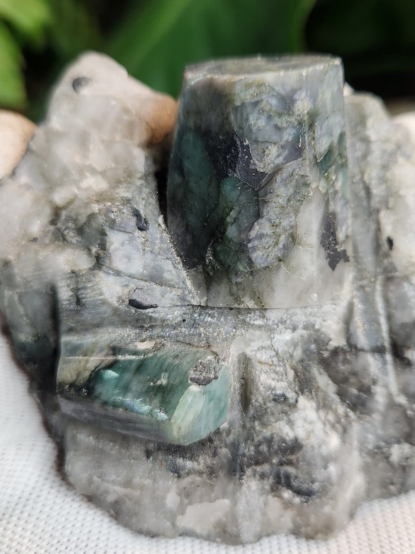 Emerald in Quartz Matrix | Natural Beryl Crystal Specimen | Collector Mineral from Brazil