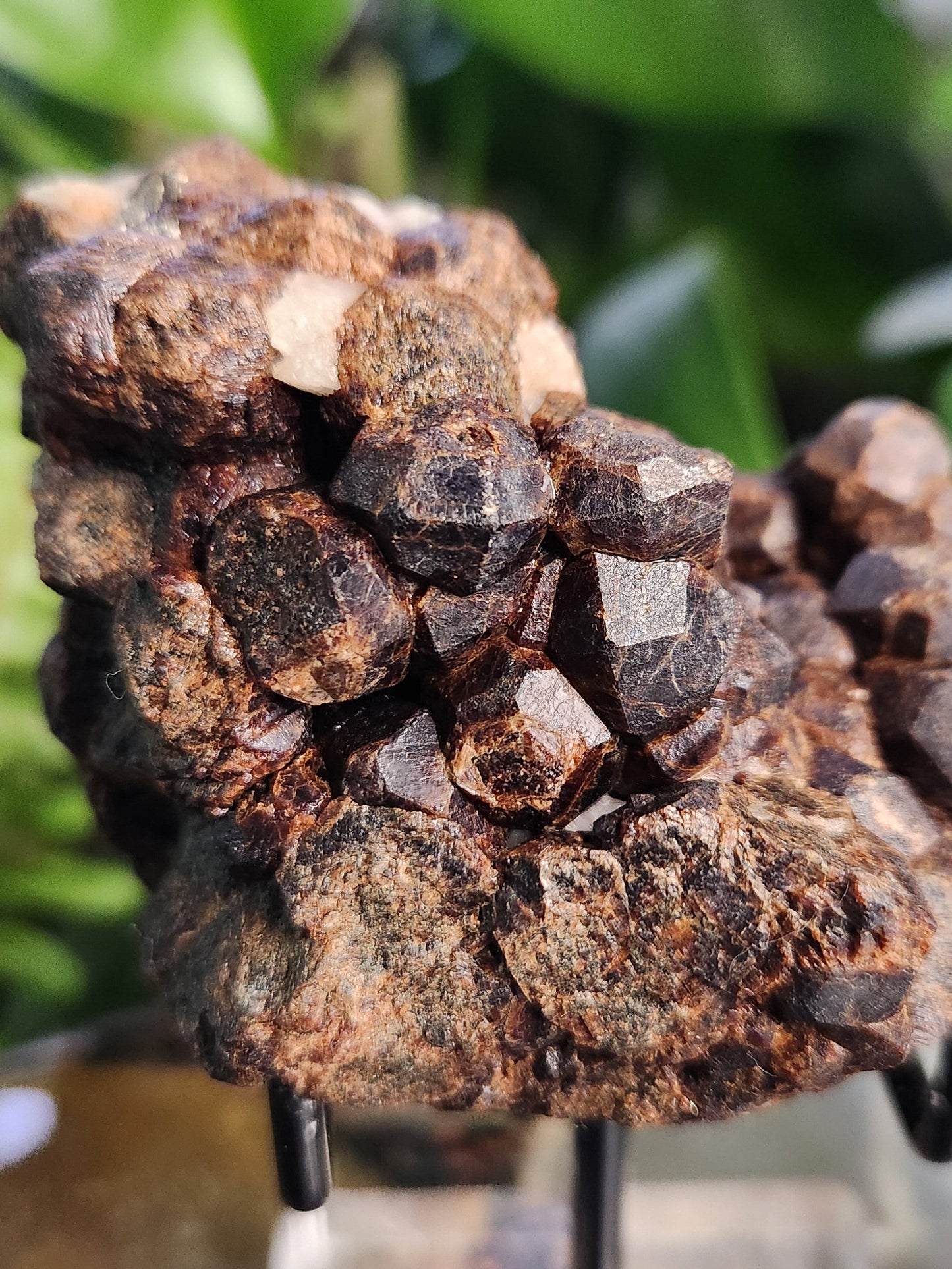 Natural Garnet on Matrix with Pyrite • Raw Almandine Garnet Cluster • Collector Mineral Specimen • Healing & Grounding Root Chakra Stone
