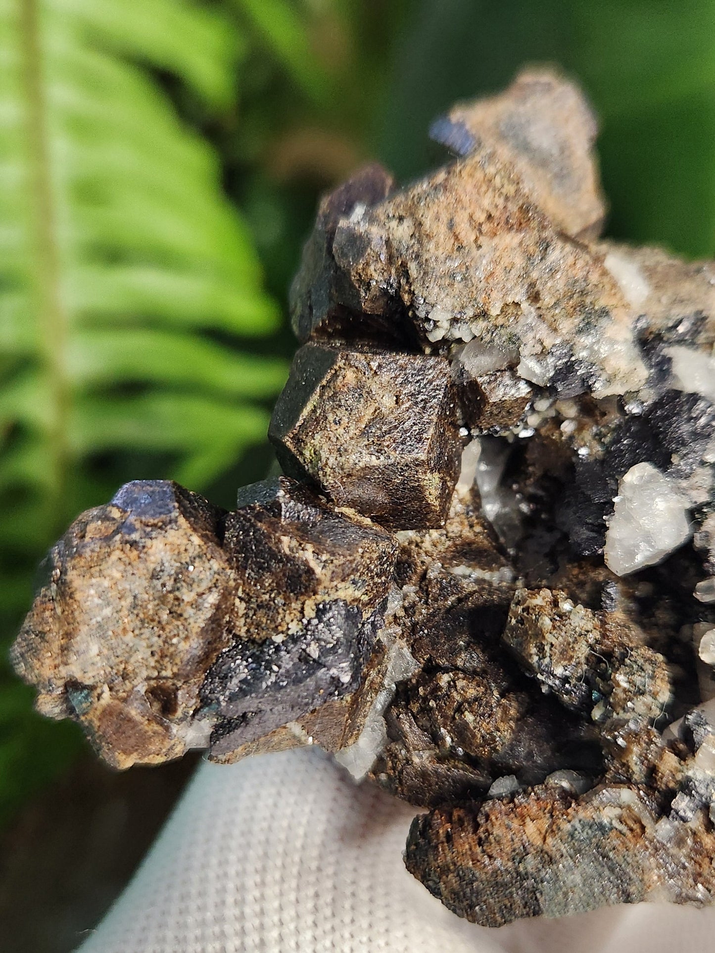 Natural Garnet on Matrix with Green Epidote • Raw Almandine Garnet Cluster • Collector Mineral Specimen • Healing & Grounding Root Chakra Stone