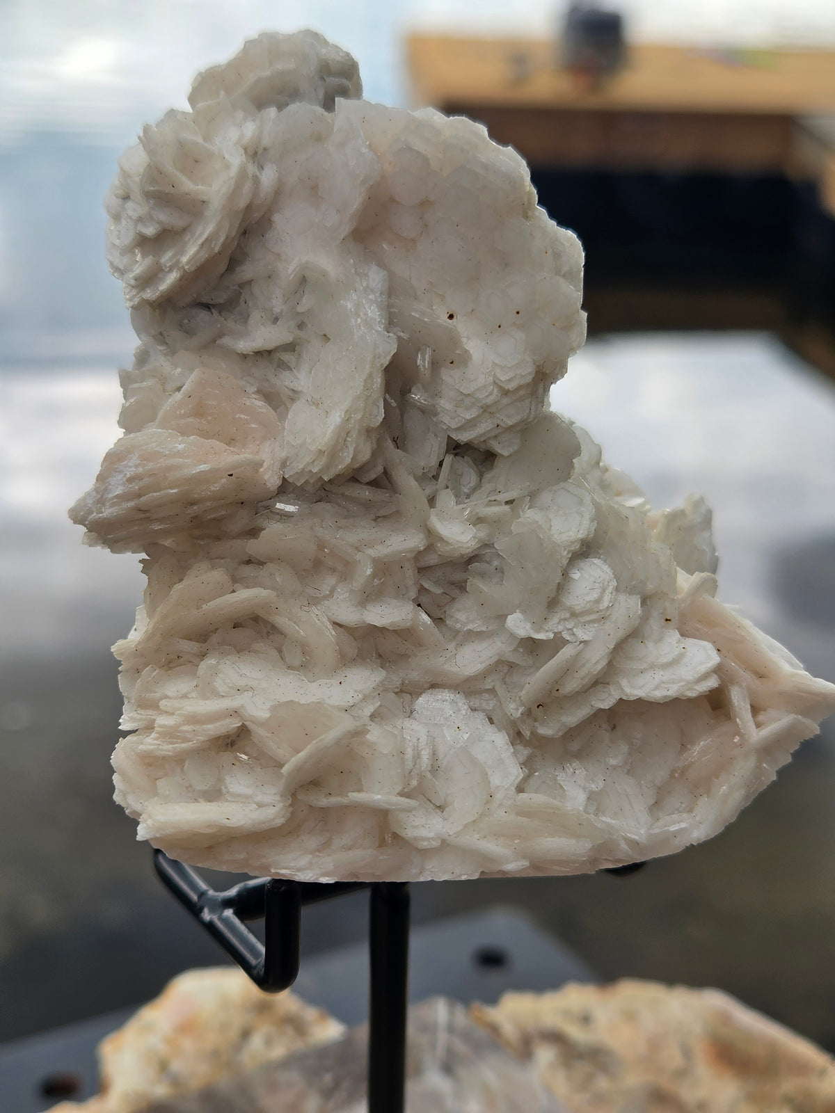 Angel Wing Calcite Crystal Cluster | Natural White Calcite