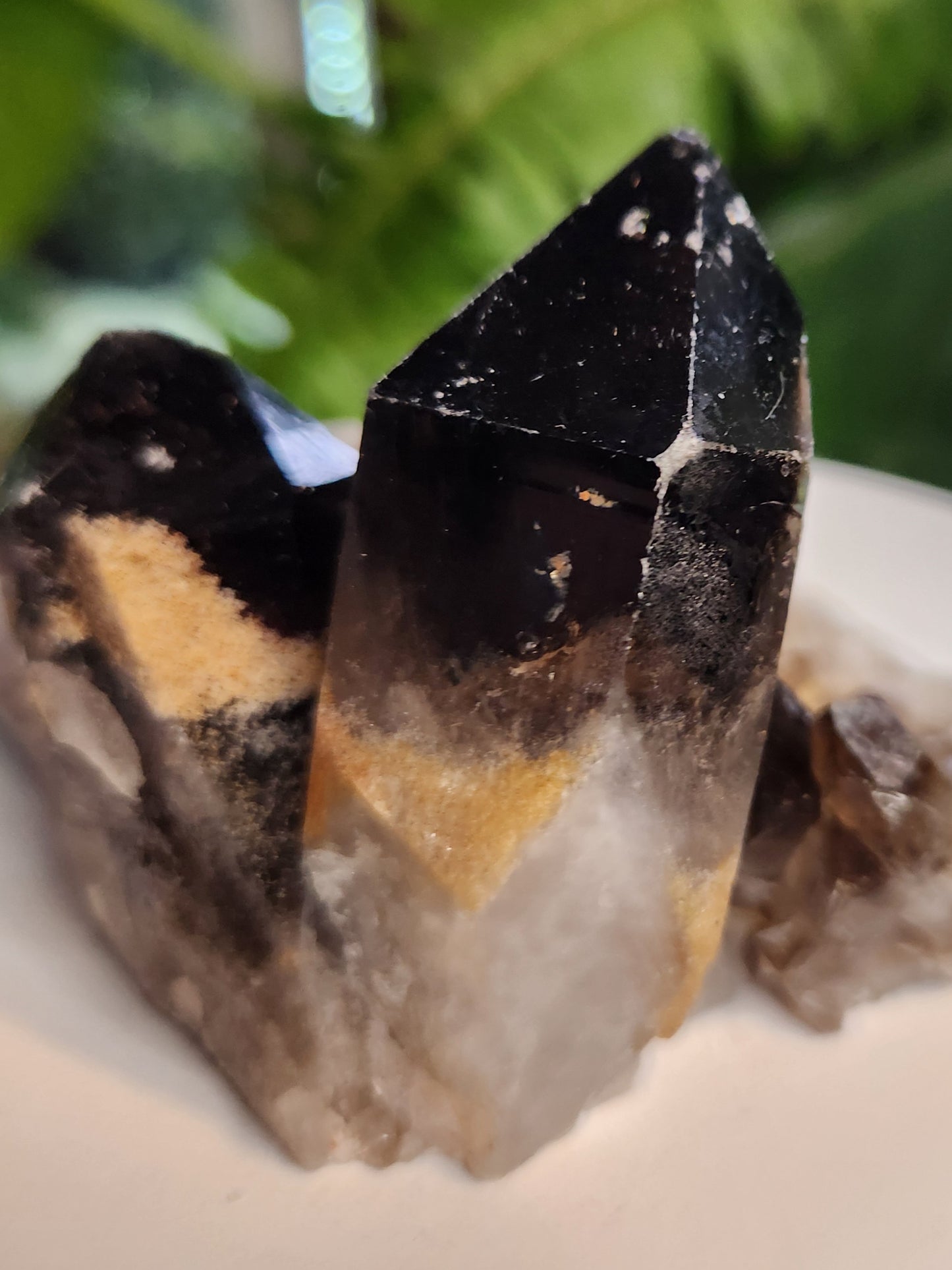 Natural Smoky / Smokey Quartz Crystal Cluster – Dark Smoky Quartz on Matrix - Brazil