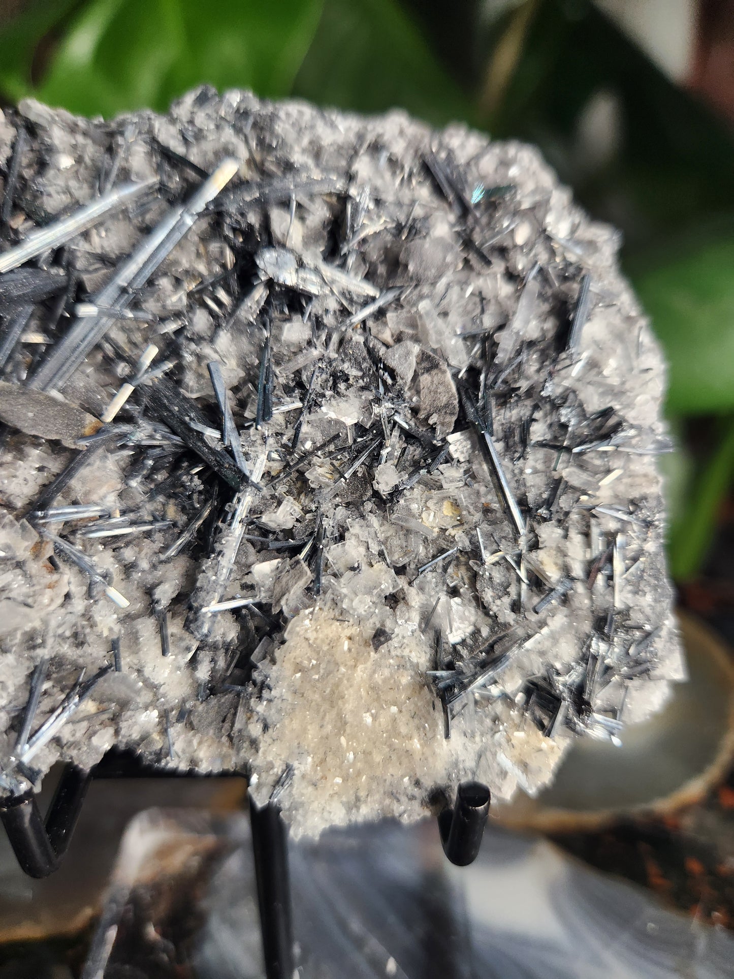 Gorgeous Raw Stibnite Crystal Cluster • Metallic Silver Needle Blades • Rare Collector Mineral Specimen • High-Shine Statement Piece