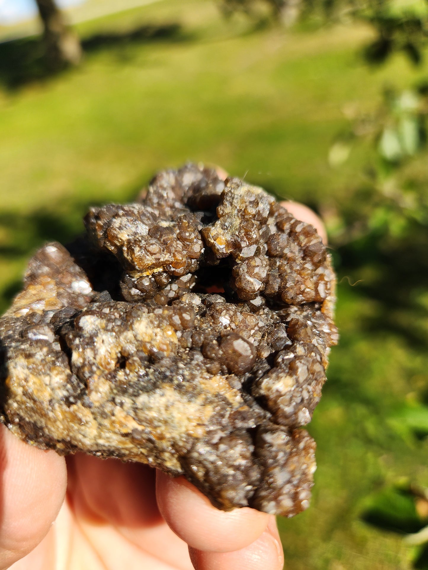 Gorgeous Garnet Crystal Cluster - detoxification , Physical Well-being