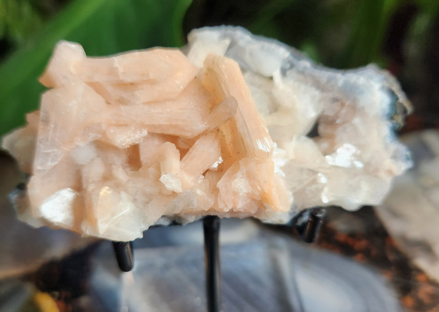 Gorgeous Peach Stilbite with Apophyllite on Matrix | Natural Zeolite Crystal Cluster | India