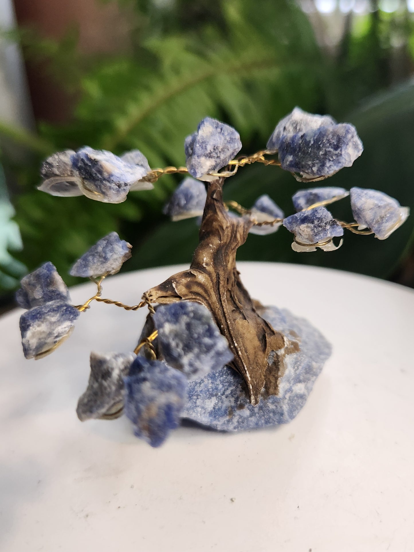 Handmade Sodalite Crystal Tree on Sodalite Base | Natural Blue Gemstone Tree | Clarity & Communication Crystal Decor
