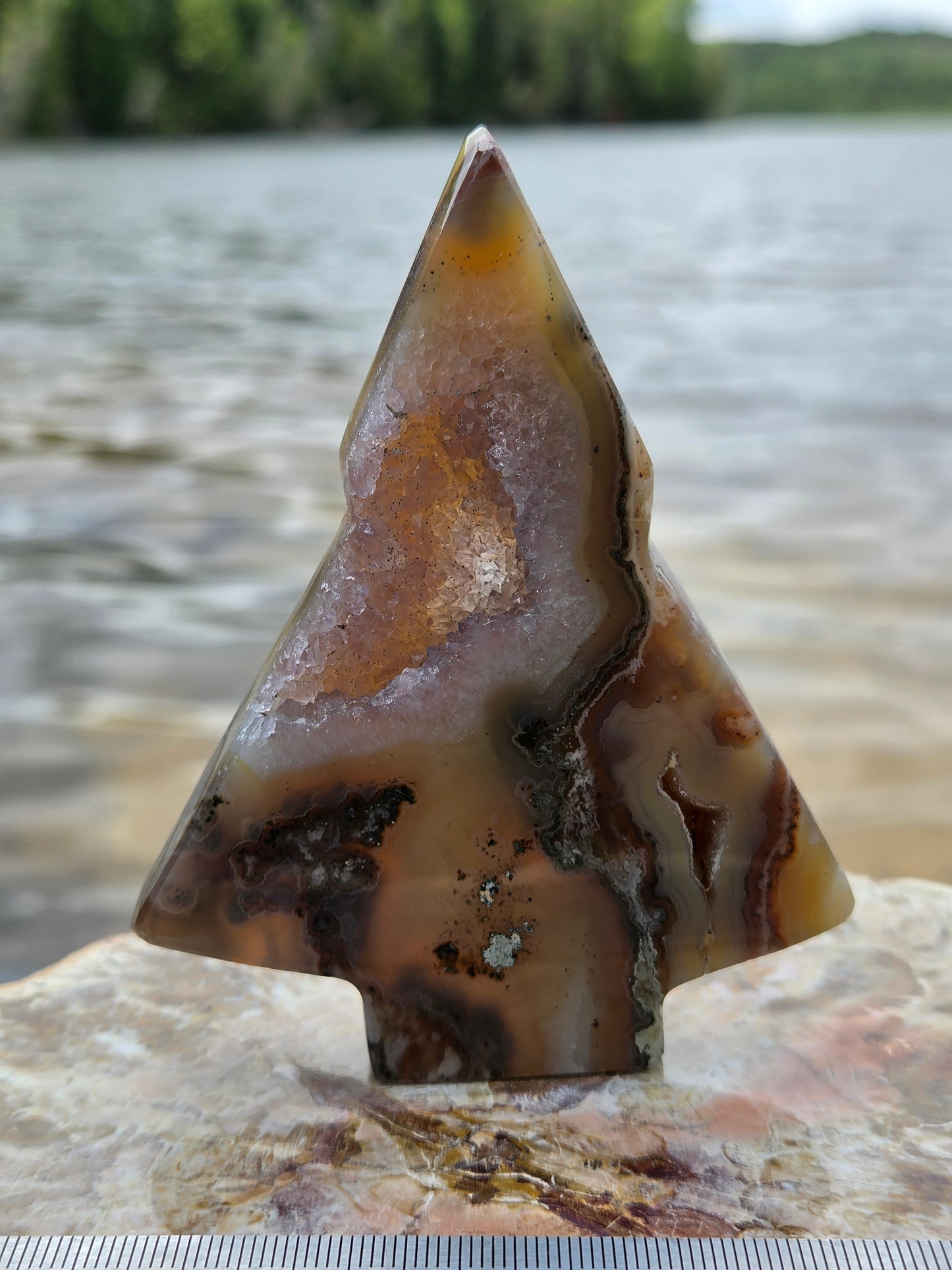 Druzy Agate Tree | Polished Agate Crystal with Druzy Pocket