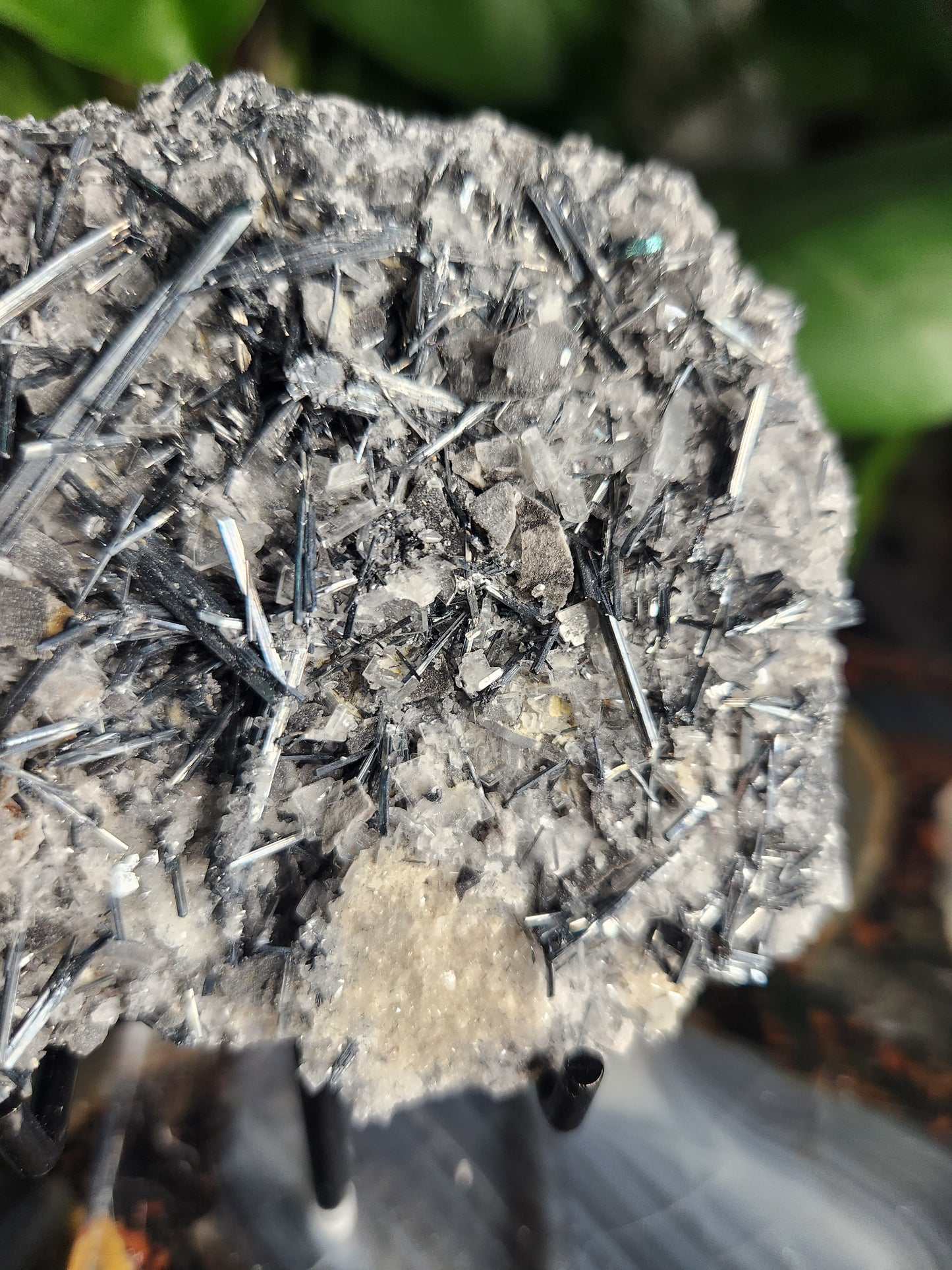 Gorgeous Raw Stibnite Crystal Cluster • Metallic Silver Needle Blades • Rare Collector Mineral Specimen • High-Shine Statement Piece