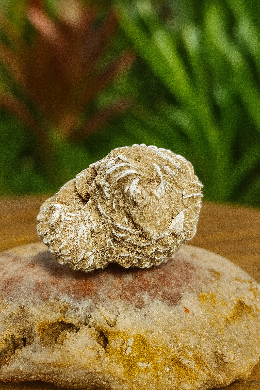 Natural Desert Rose Crystal Cluster – Unique Selenite Sand Formation for Grounding, Protection & Peaceful Energy