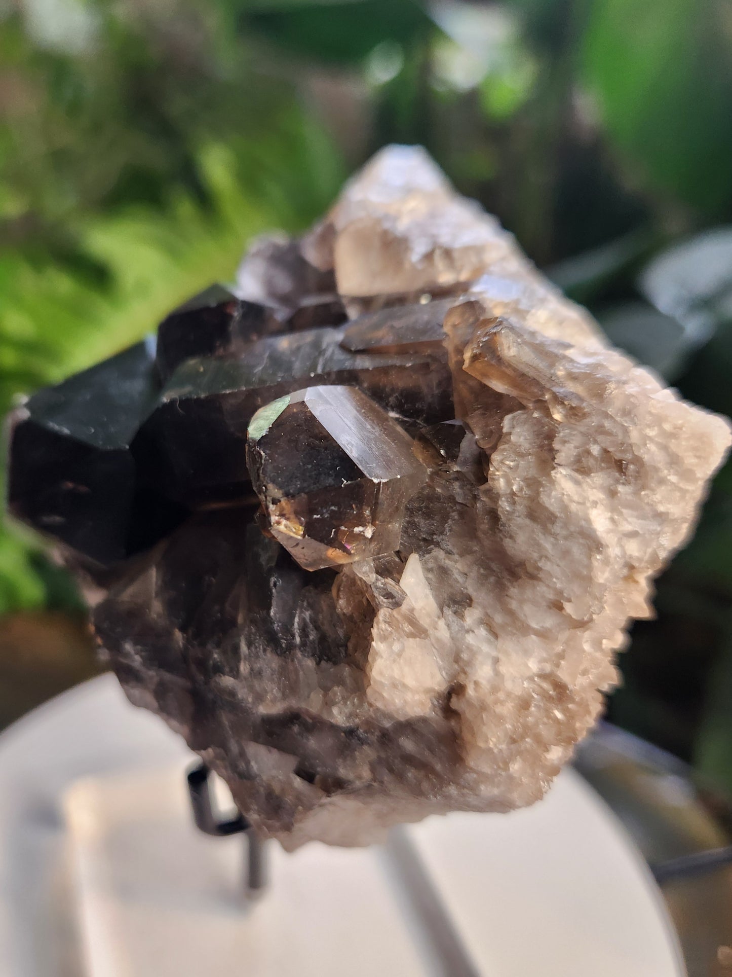 Natural Smoky / Smokey Quartz Crystal Cluster – Dark Smoky Quartz on Matrix - Brazil