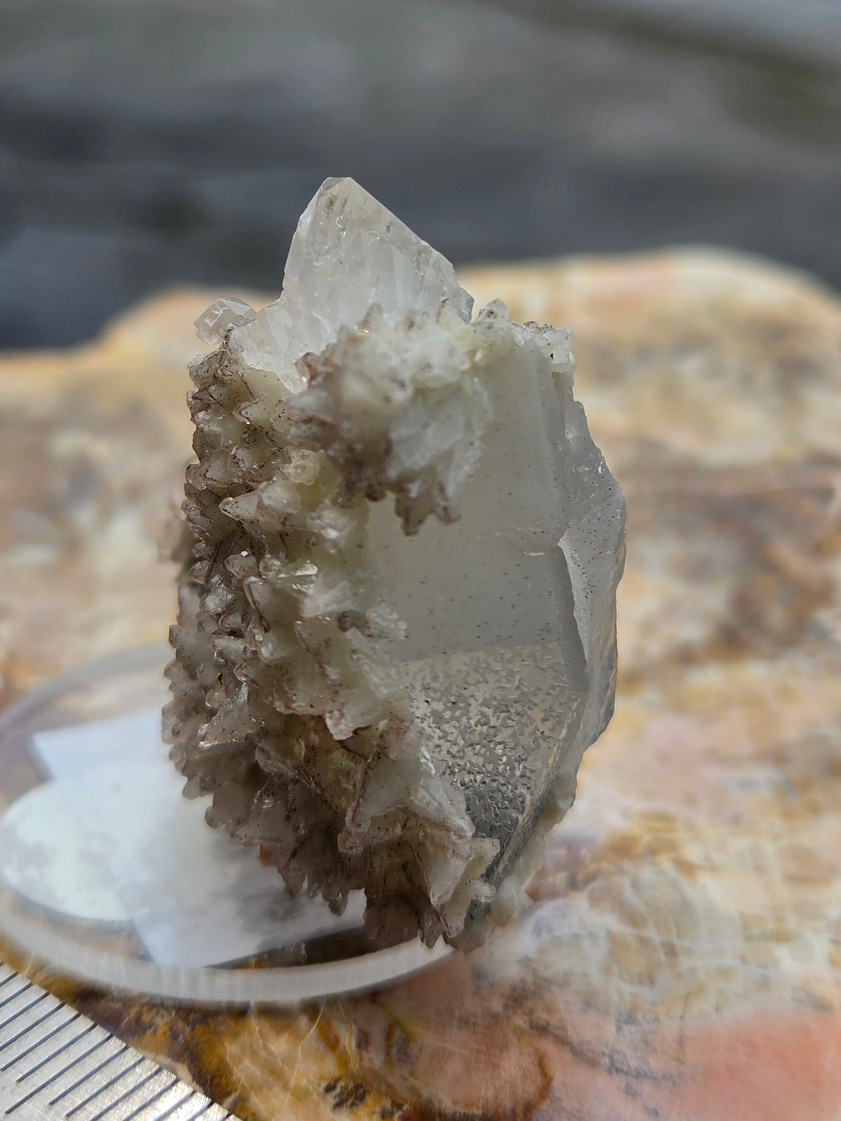 Calcite with Pyrite & Dogtooth Calcite Crystal Cluster