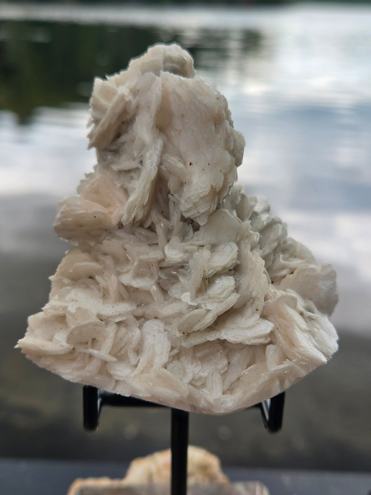 Angel Wing Calcite Crystal Cluster | Natural White Calcite