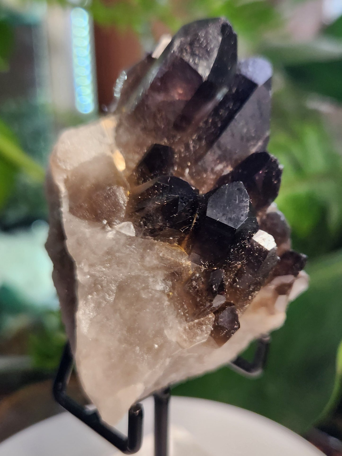Natural Smoky / Smokey Quartz Crystal Cluster – Dark Smoky Quartz on Matrix - Brazil