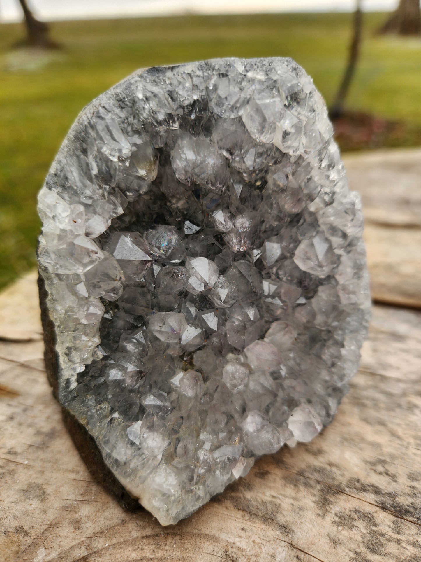 Stunning Amethyst Druzy Cluster from Brazil – Sparkling Purple Quartz Crystal Geode • Natural Healing Stone • Collector Display Specimen With Cut Base