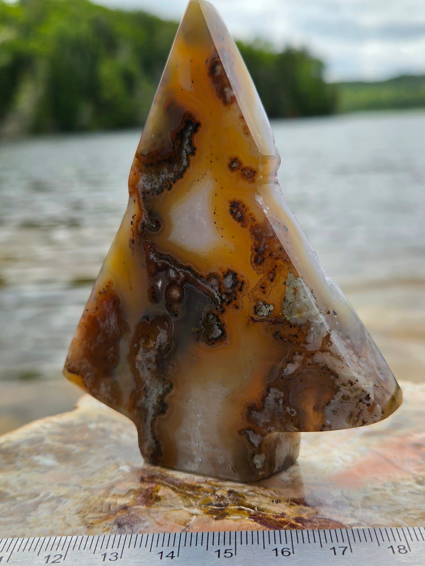 Druzy Agate Tree | Polished Agate Crystal with Druzy Pocket