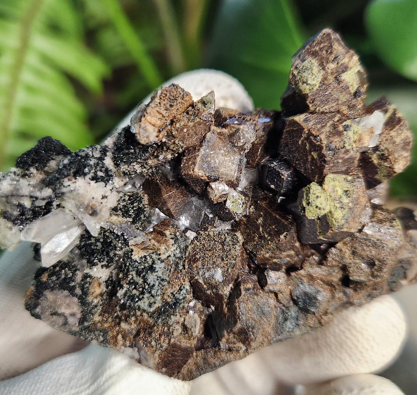 Natural Garnet on Matrix with Green Epidote • Raw Almandine Garnet Cluster • Collector Mineral Specimen • Healing & Grounding Root Chakra Stone