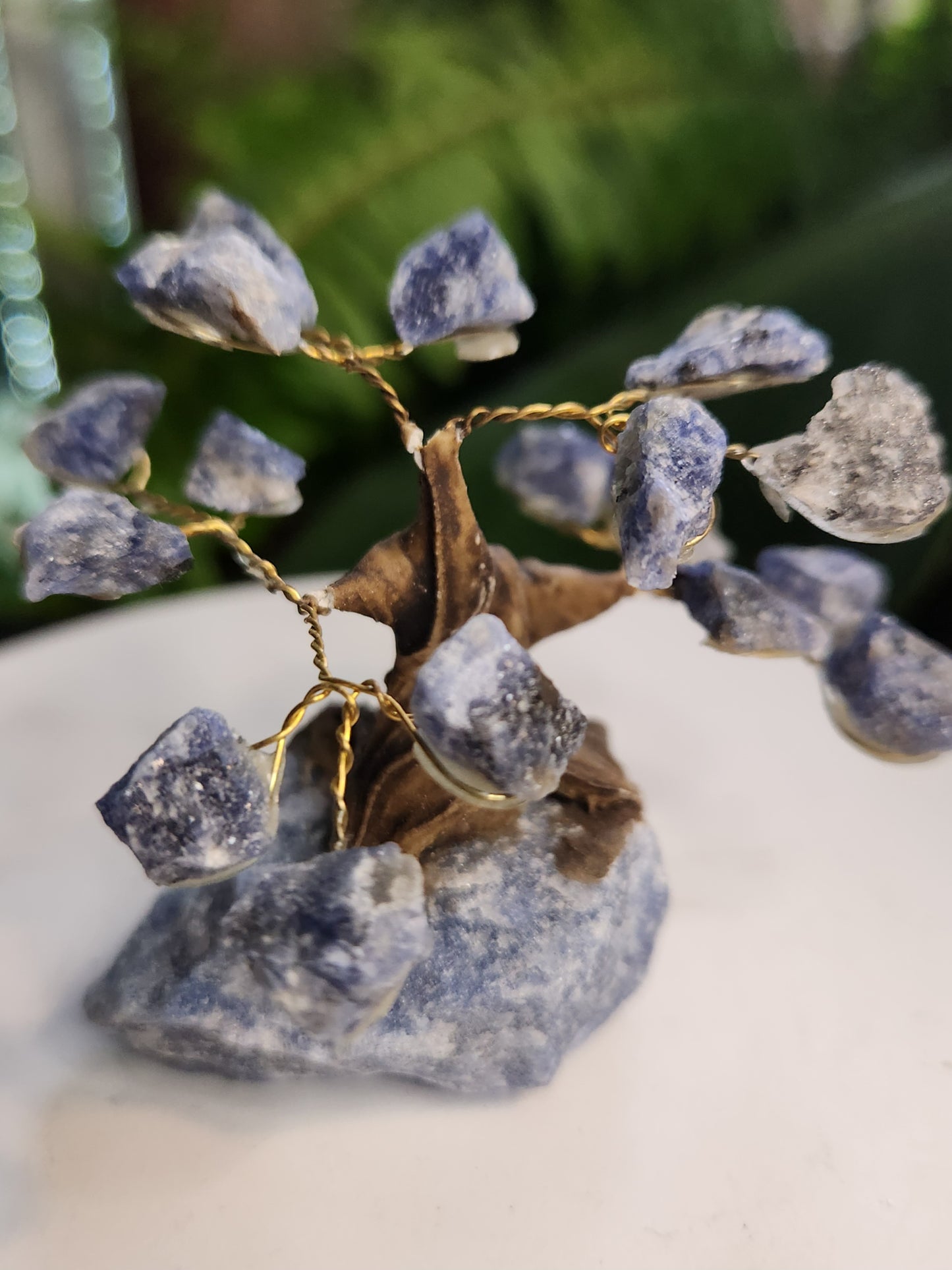 Handmade Sodalite Crystal Tree on Sodalite Base | Natural Blue Gemstone Tree | Clarity & Communication Crystal Decor