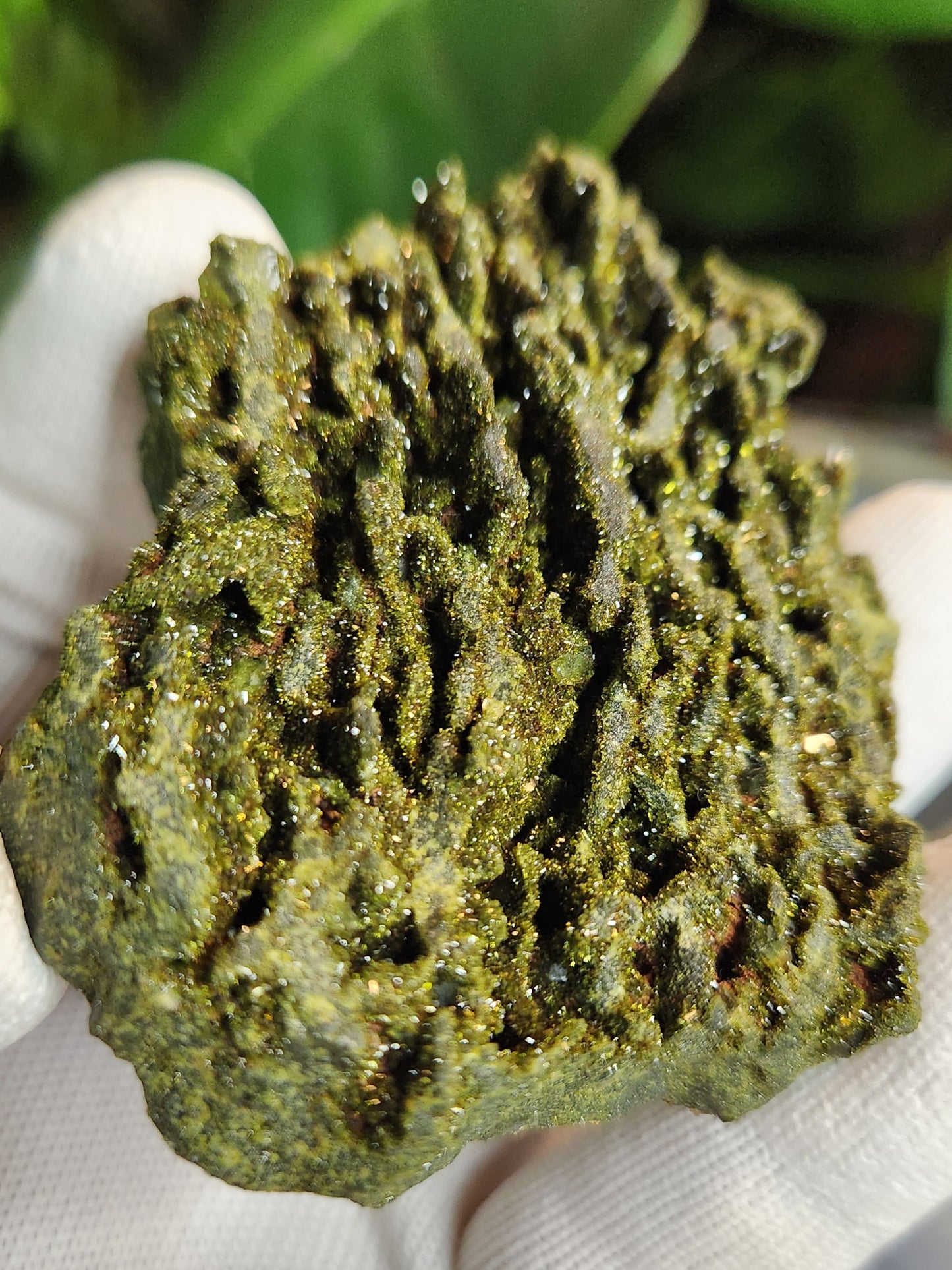 Rare Forest Epidote with Druzy Quartz – Sparkling Green Growth Crystal | Collector Mineral | Grounding & Abundance Stone