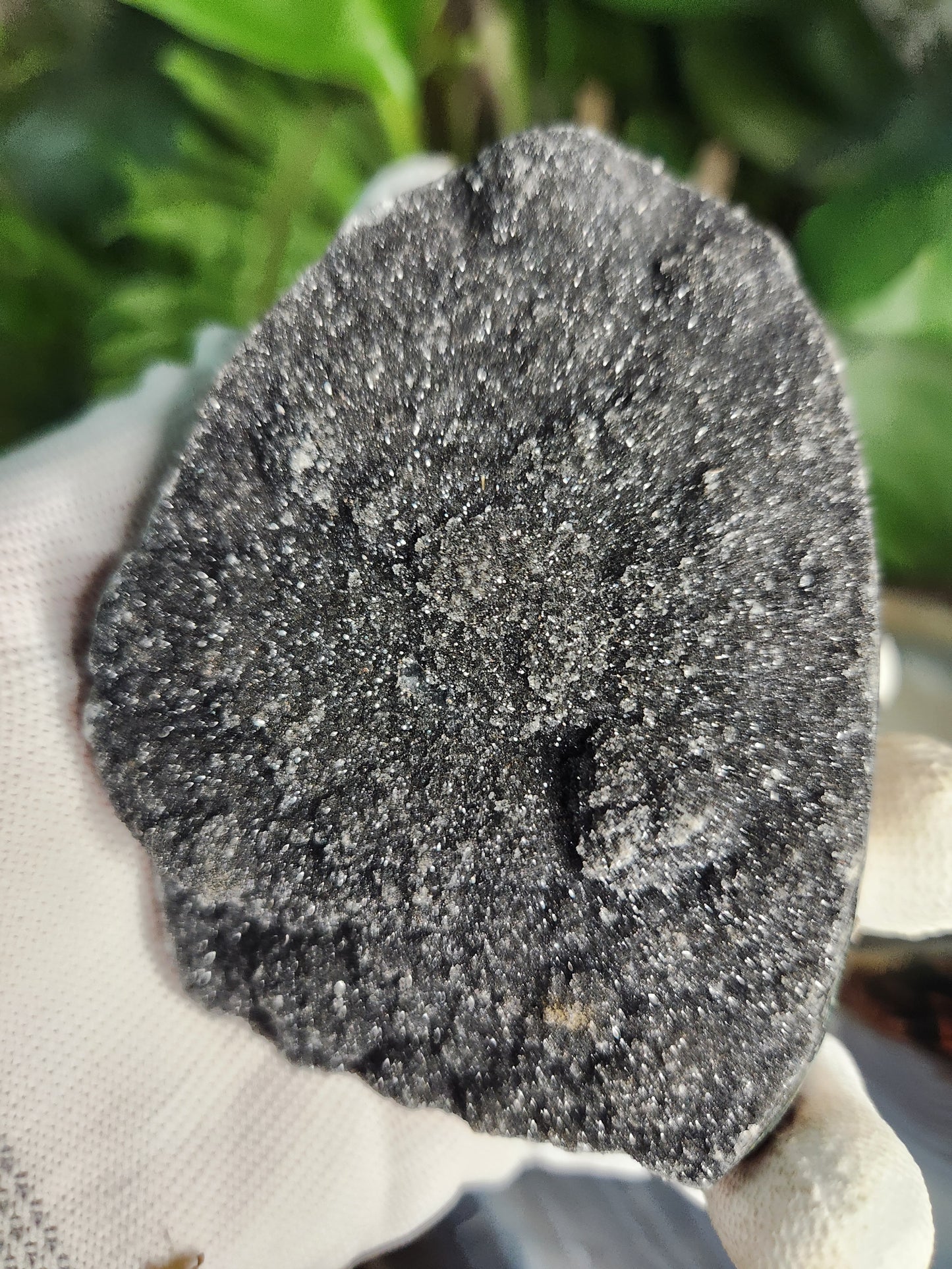 Druzy Black Amethyst Standing Freeform • Natural Dark Amethyst Cluster from Brazil • Sparkling Druzy Display Piece • Protection & Cleansing Crystal