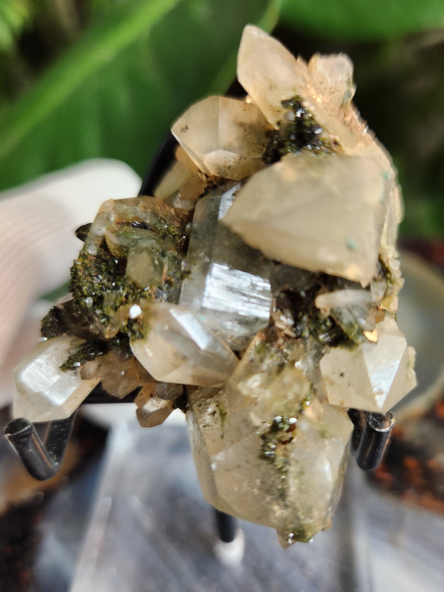 Forest Epidote with Druzy Quartz – Sparkling Green Growth Crystal | Collector Mineral | Grounding & Abundance Stone