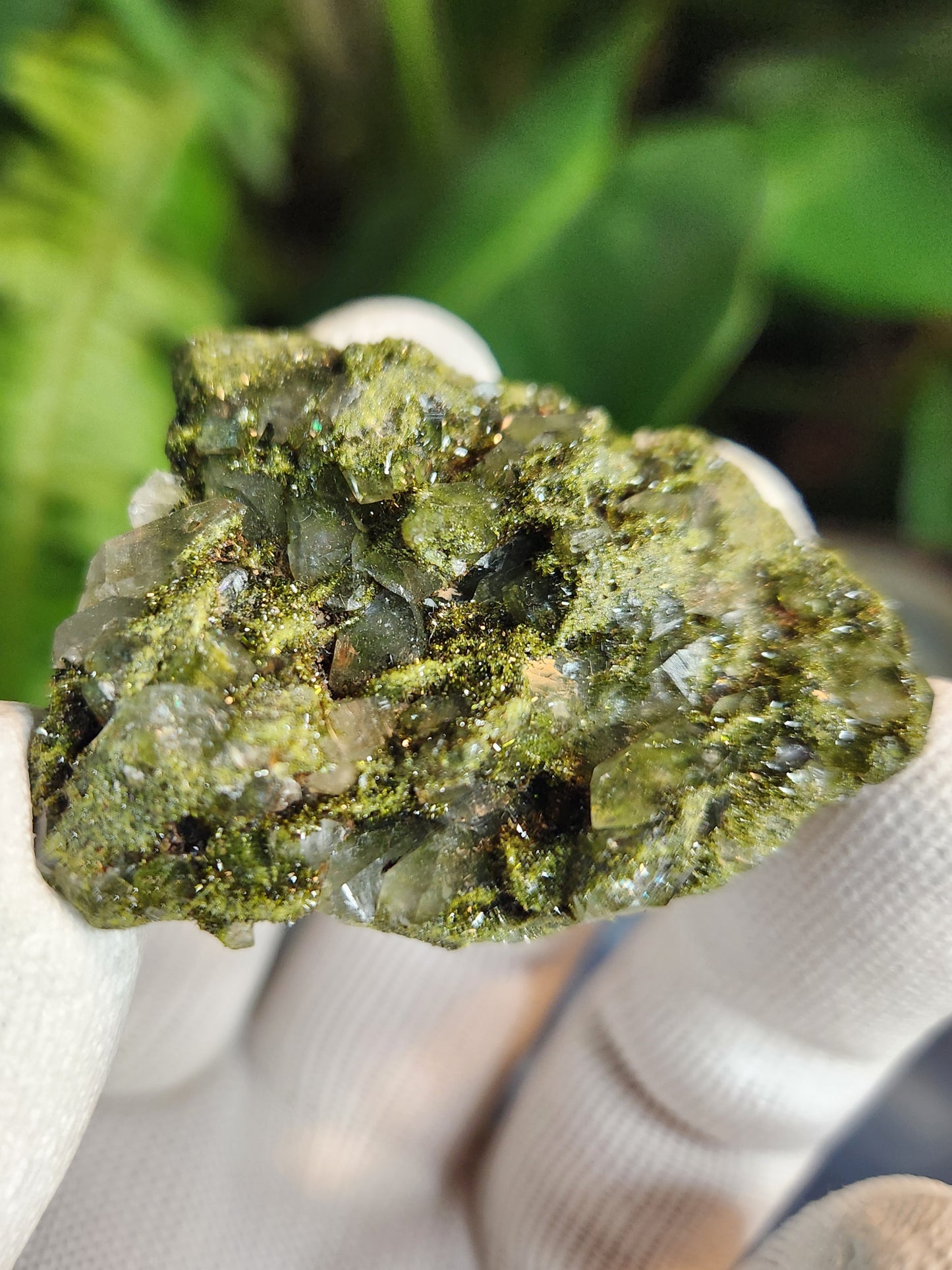 Forest Epidote with Druzy Quartz – Sparkling Green Growth Crystal | Collector Mineral | Grounding & Abundance Stone