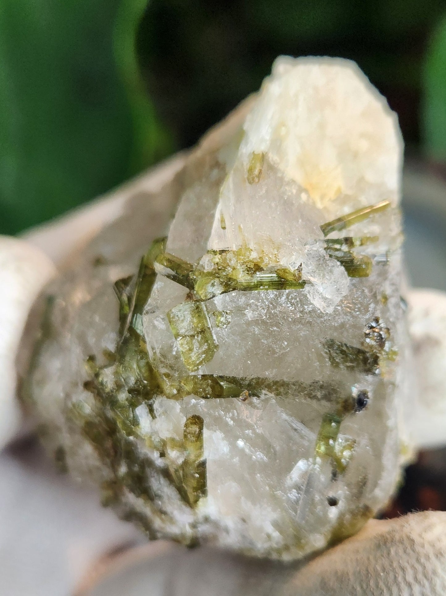 Green Tourmaline Crystals on Quartz Matrix | Natural Elbaite Collector Specimen